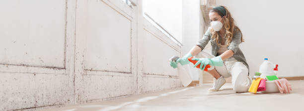 Trusted Lake Jackson, TX Mold Inspection, Removal & Remediation Experts